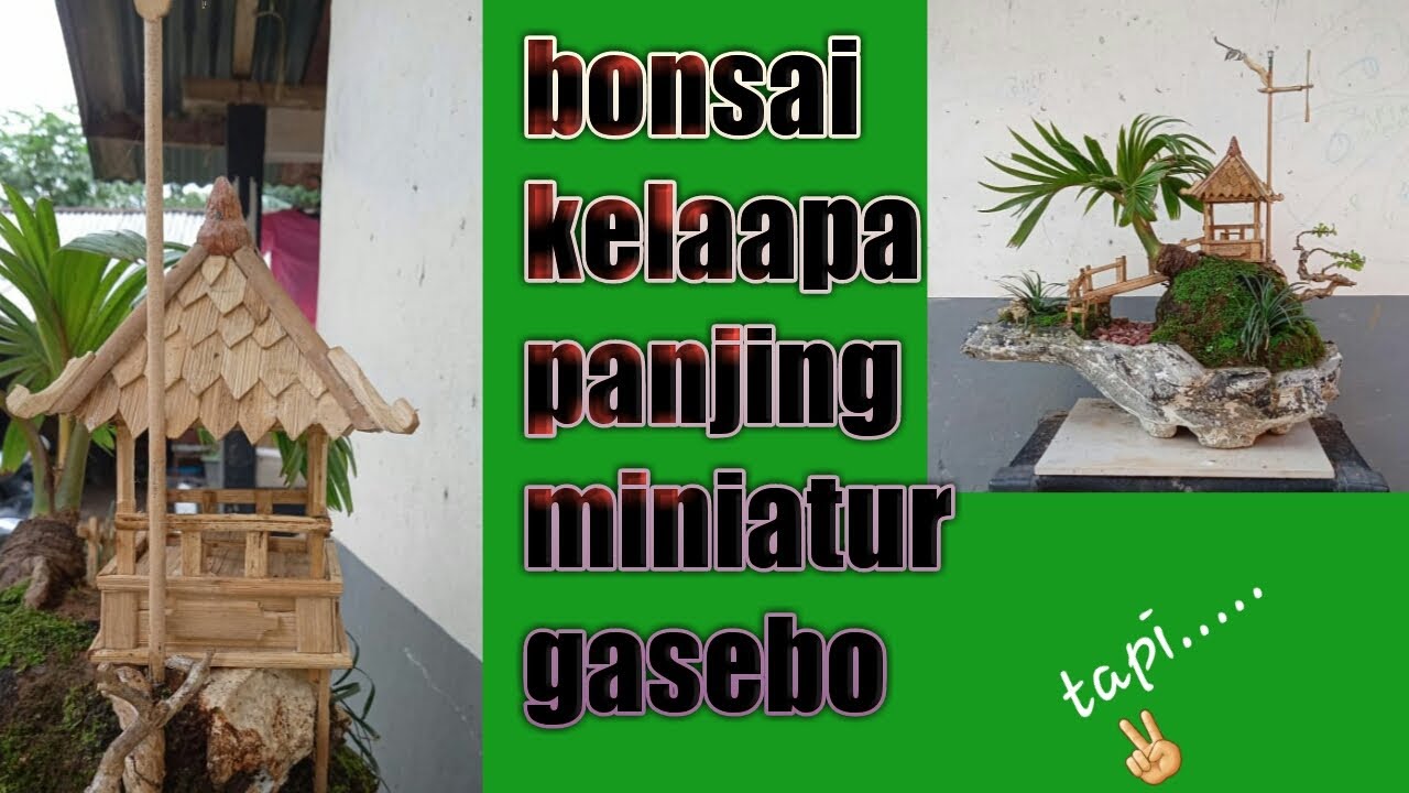 Bonsai Kelapa Penjing Miniatur Tebing Dan Gasebo Youtube