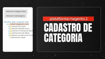 Cadastro de Categorias no Magento 2