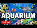 The Best 2K Aquarium for Relaxation 🐠 Sleep Relax Meditation Music - 2K Screensaver