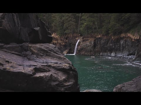 Video: Surfundersøgelse I Juan De Fuca Provinspark, BC, Canada - Matador Network