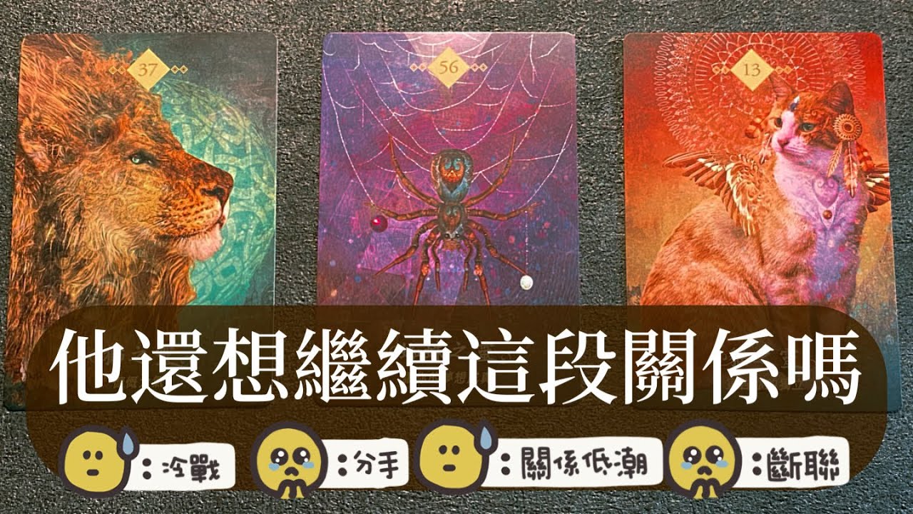 🌹他還想繼續這段關係嗎? 他的感受.想法.行動等等🌳愛咪塔羅🌳