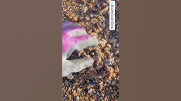 303 bullet casing found uk beach metal detecting