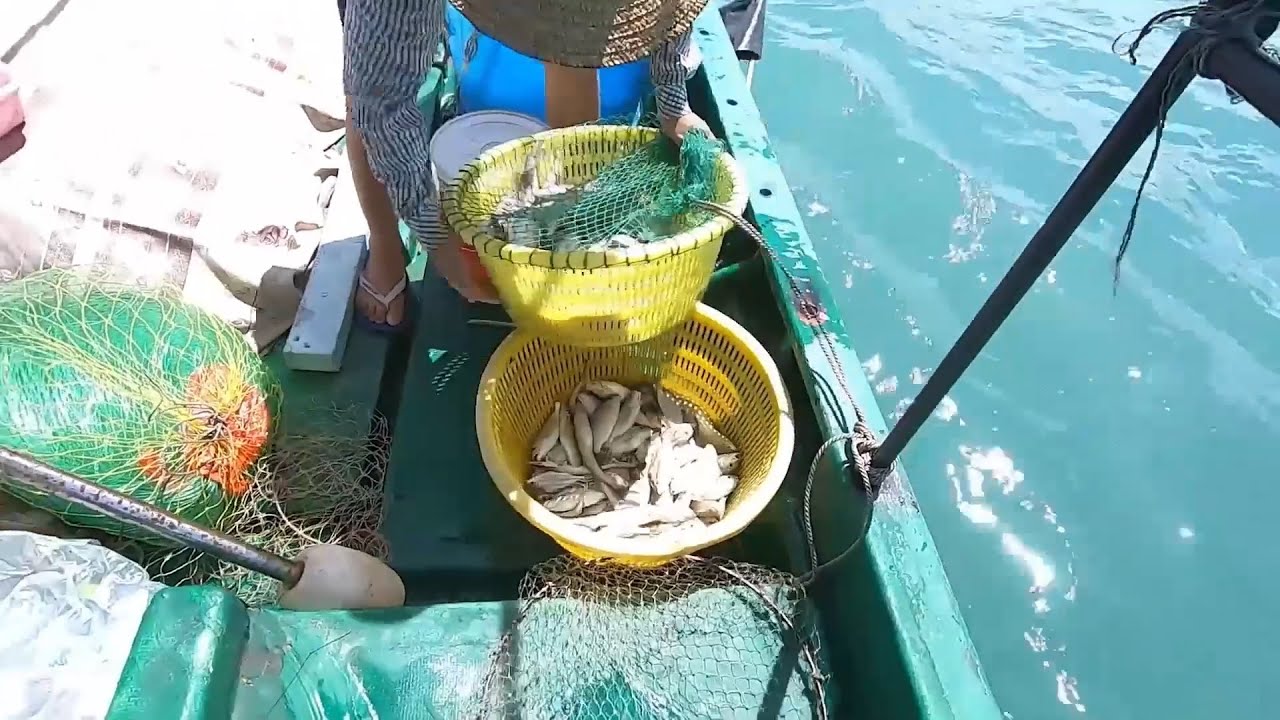 老四放2000米长钩捕鱼，两天抓了几十斤鱼群，太刺激了