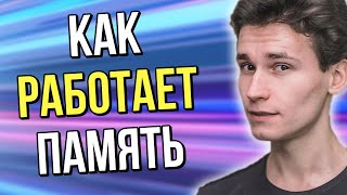 КАК РАБОТАЕТ НАША ПАМЯТЬ? | это полезно знать, если ты хочешь запомнить новую информацию