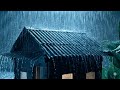 Heavy Rain on Roof 🌧️ Relaxing Sounds for Sleeping Fast