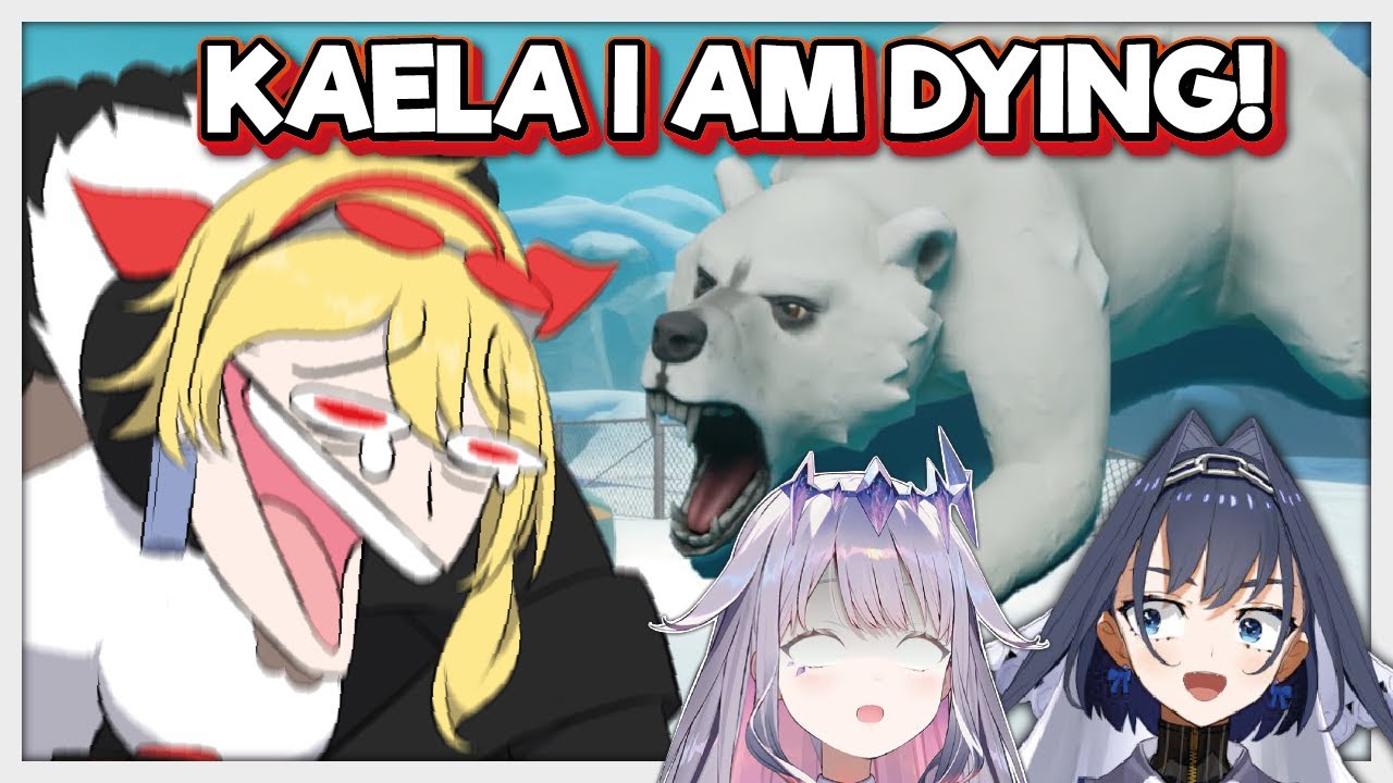 Just like with Kronii, Kaela cant stop laughing while Biboo got attacked by the Polar Bear...