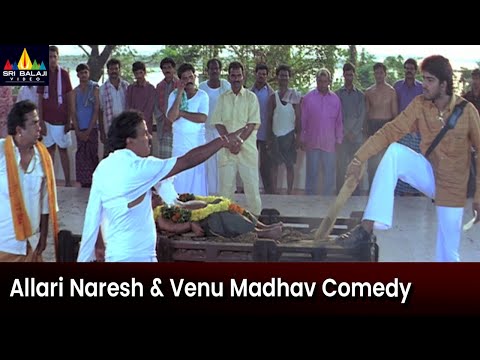 Allari Naresh and Venu Madhav Hilarious Comedy Scene | Athili Sattibabu LKG | Telugu Movie Scenes - SRIBALAJIMOVIES