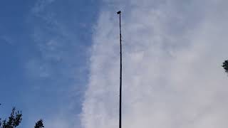 Meshtastic solar node on top of 50ft bamboo.