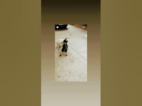 служебный роман - YouTube