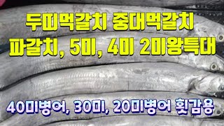 7/1일 목포 먹갈치 엄청 싱싱합니다!  5미특대갈치 4미특대갈치 2미왕특대갈치 파갈치 정품에 비해서 가격이 저렴합니다