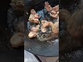 Udang Crispy Ala Taiwan #cooking #trending #tkwtaiwan #shorts #fypviral #udangcrispy #food #enak