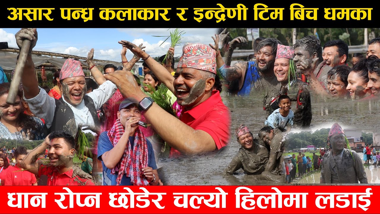असार पन्ध्र कलाकार सहित इन्द्रेणी टिम खेतमा धान रोप्दै नाच गान सहित हिलोमा लडन लडाउनेको भिडभाड