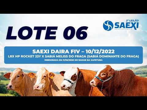 LOTE 6 - SAEXI DAIRA FIV