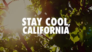 Beat the Heat: Safety Tips
