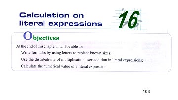 grade 6 - literal expression