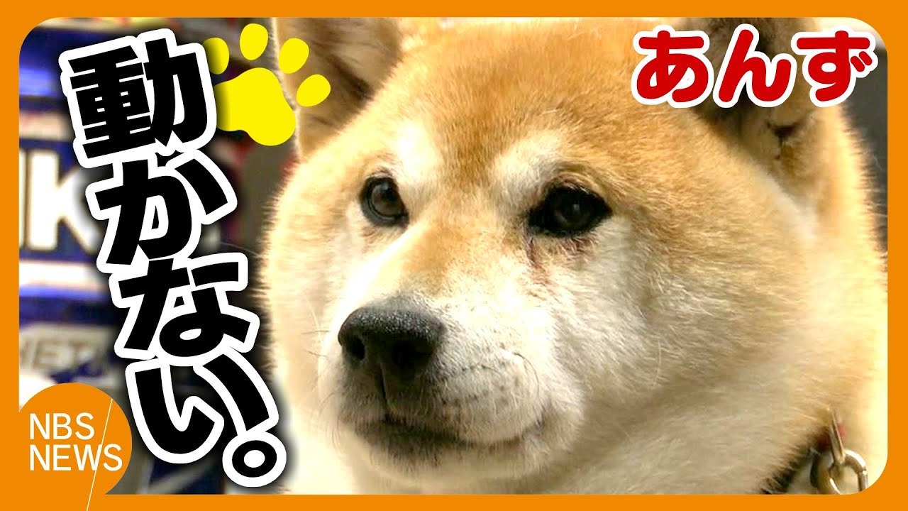 ヒーターの前から動かない
