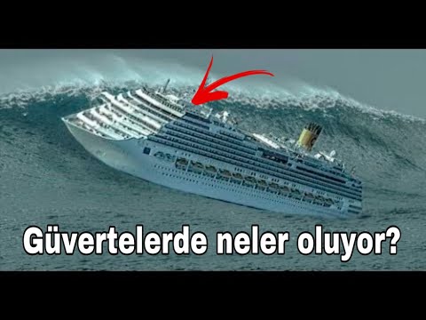 Video: Norveç Kaçış Yolcu Gemisi Kabinleri