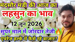 सुपर माल में रही जोरदार तेजी | Mandsaur Mandi Lahsun Bhav | Lahsun Bhav Manish Dhakad Mandsaur Mandi