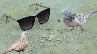 Easy Creative Unique Bird Trap Using Sunglasses | Easy Bird Trap Technology