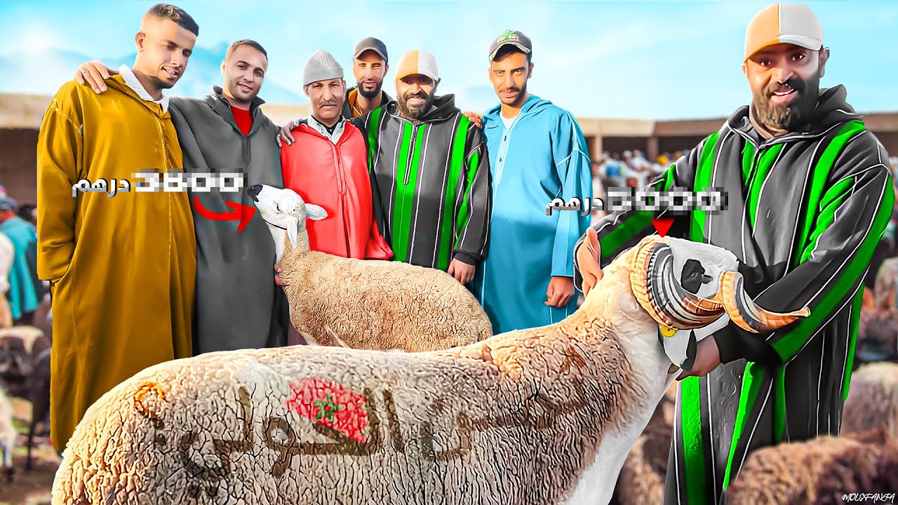 يوم كامل في سوق تلات سيدي بنور في 🇲🇦 المغرب 🐏 مع آثمنة عيد الأضحى 💰 بتاريخ8 mai 2024