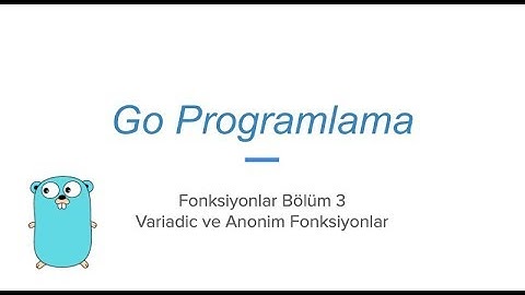 Go programlama fonksiyonlar bölüm 3: Variadic ve Anonim Fonksiyonlar (golang)