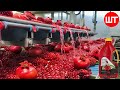 How pomegranate juice is made in factory  fresh pomegranate juice factory process