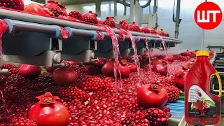 How Pomegranate Juice Is Made In Factory | Fresh Pomegranate Juice Factory Process