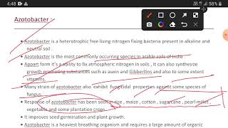 Free living nitrogen fixing bacteria as a biofertilizers -