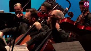 Serenade in C for String Orchestra, Op. 48 - Pyotr Ilych Tchaikovsky