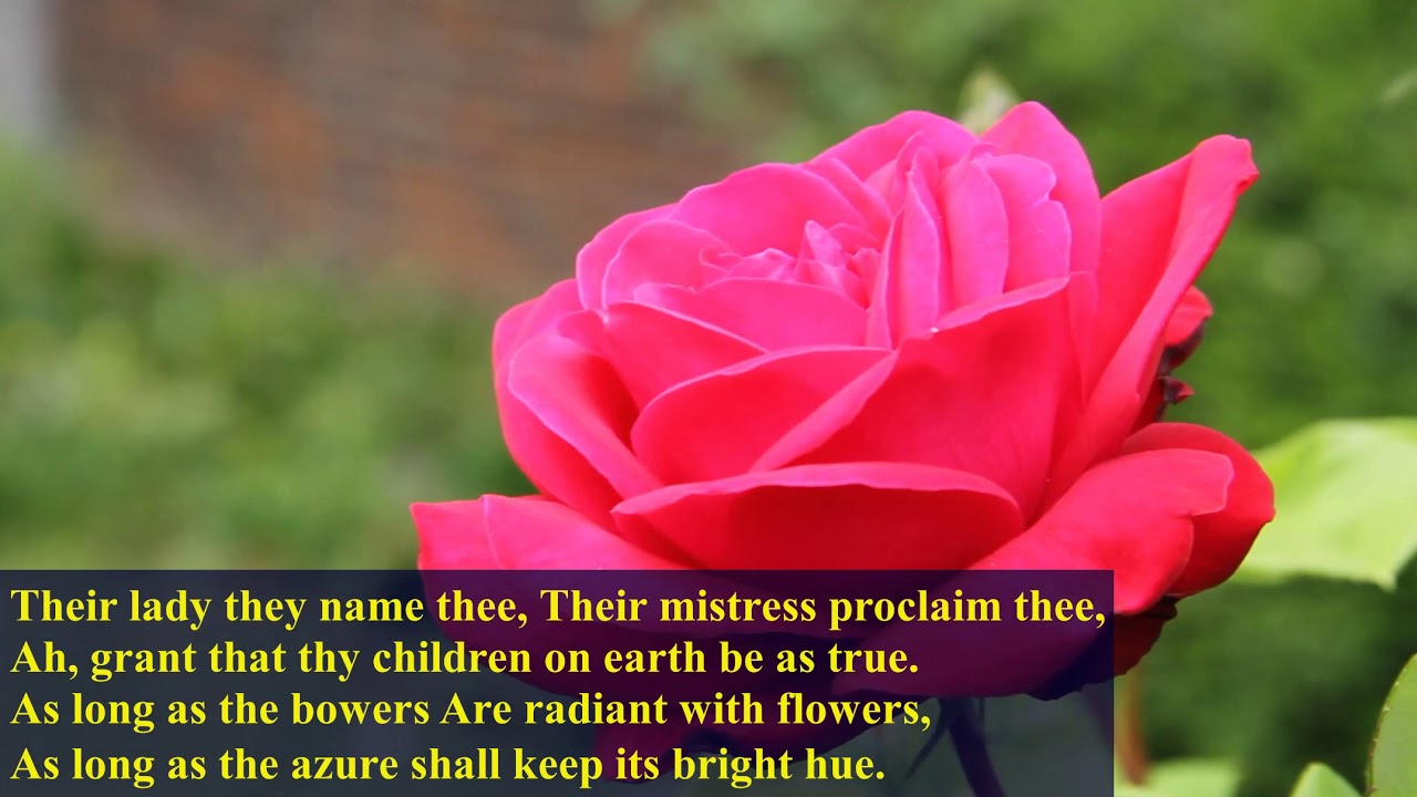 Bring Flowers of the Rarest A hymn to Mary! YouTube