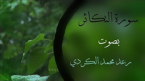سورة التكاثر |رعد محمد الكردي