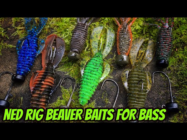 HOW TO FISH NED RIG BEAVER BAITS FOR BASS- New episode! 