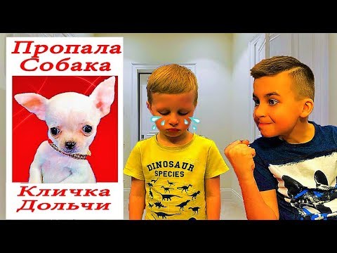 Света потеряла богдана
