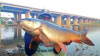 Manjeera River Fishing | Big Rohu Fish Catching Video | Hyderabad Singh Shekhar