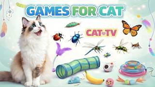 CAT GAMES 🐾 3D Cat TV Mania – Cricket Hunt • Ant Swarm • Mouse Dash! 😺 | 6 Hours 4K60FPS screenshot 4