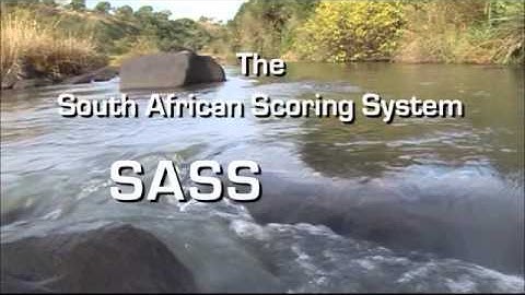 SASS5 Series - Introduction to SASS5 Aquatic Macro-invertebrate Sampling