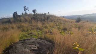 Kiborgok Hill, ( Clear picture of kakamega forest and tea plantations in Kapkangani/Kaimosi)