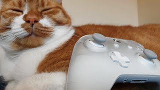 I Bought Xboxs Phantom White Controller And Im Blown Away