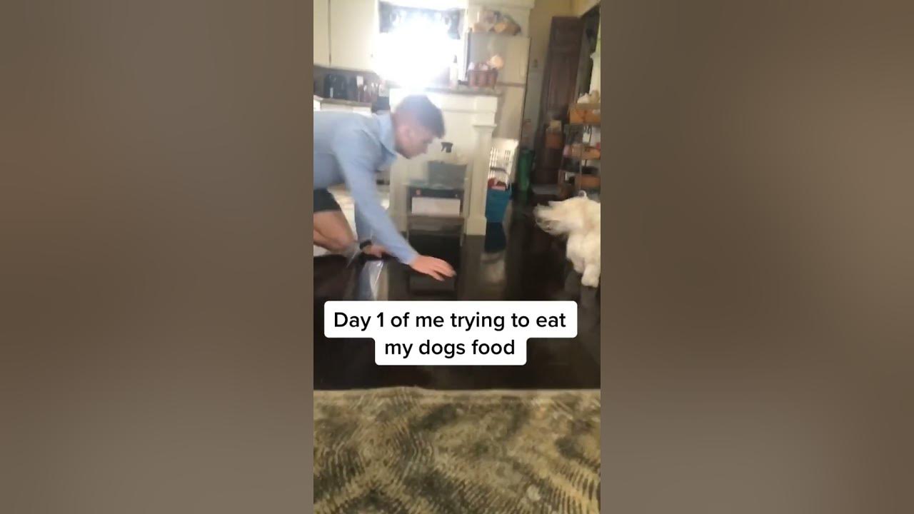 day-1-of-eating-my-dogs-food-challenge-petvlog-dog-youtube