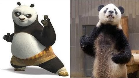 Cartoon characters in real life -  Kung Fu Panda 3 in Real Life