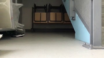 Vex robotics turning point reveal