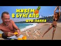 ШРИ-ЛАНКА 🇱🇰 #5 / ЖИВЕМ В БУНГАЛО / РЫНОК Шри-Ланки / МАЛЕНЬКИЕ ЧЕРЕПАШКИ / природа