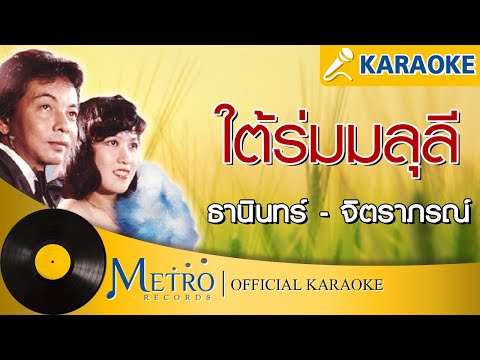 ใต้ร่มมลุลี - ธานินทร์ - จิตราภรณ์ (Official Master)