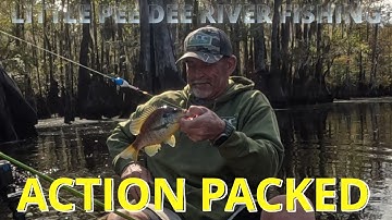 🎣 Laag water, veel actie! Vissen op crappie, brasem en schelpenkraker in de Little Pee Dee River