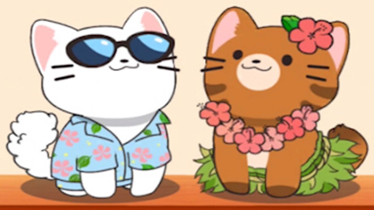 Duet Cats Cute Popcat Music all NEW SONG, CATS and FOOD YouTube