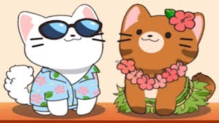 Duet Cats Cute Popcat Music  all NEW SONG, CATS and FOOD
