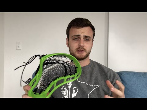 MESH DYNASTY REVIEW