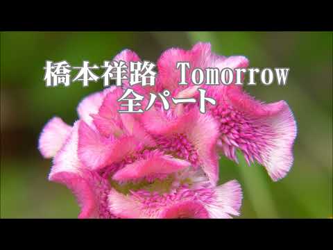 橋本祥路　Tomorrow(トゥモロー)　全パート　「MY SONGマイソング」より