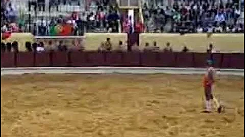 joao rui salgueiro ascenso 2012