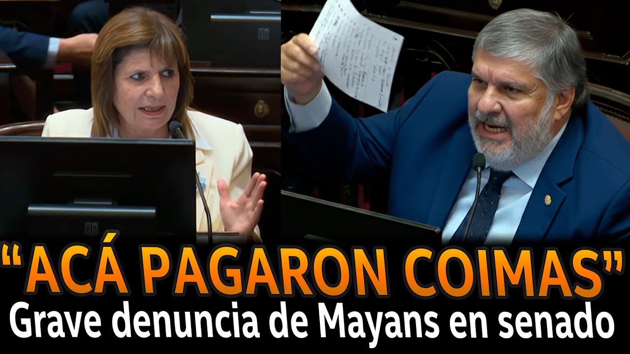 MAYANS filtró lo peor del senado en la cara de BULLRICH por coimera